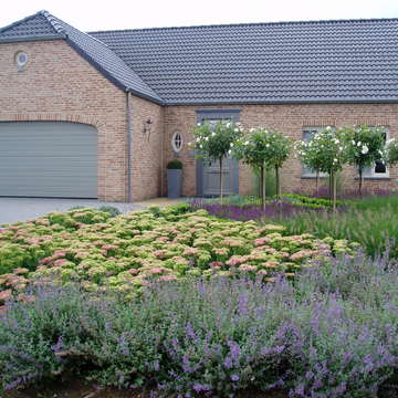 Hele zomer bloei met rozen en lavendel -