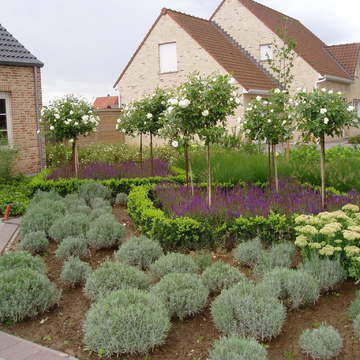 Onverschilligheid rok Hoofd De voortuin aangekleed - Belleplant