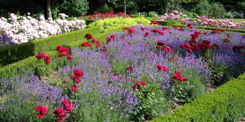 De koninginnen van de tuin