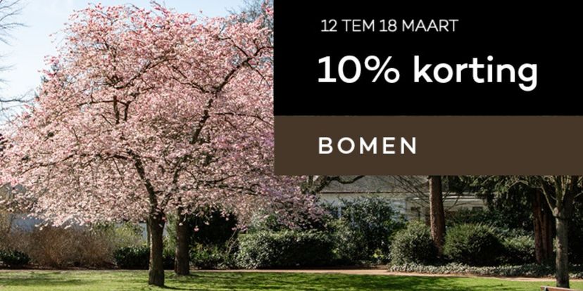 Plant nu je bomen met 10% korting