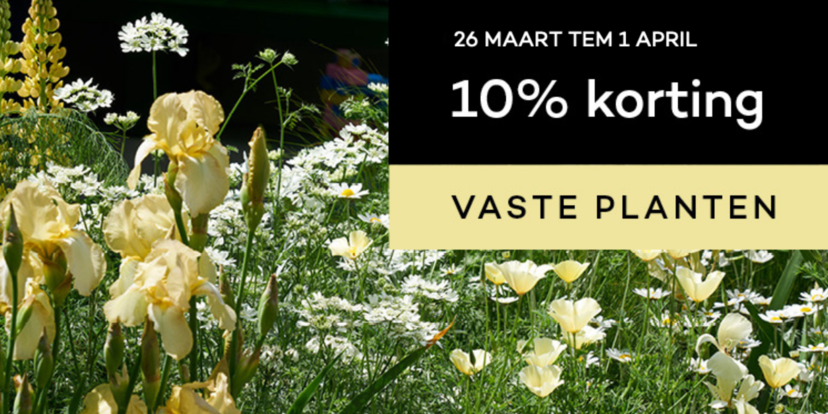 10% korting op vaste planten!