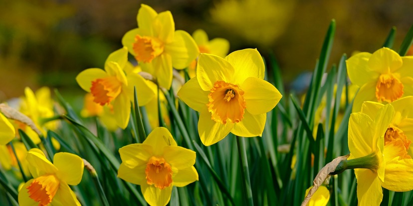 Paasweekend geopend! 