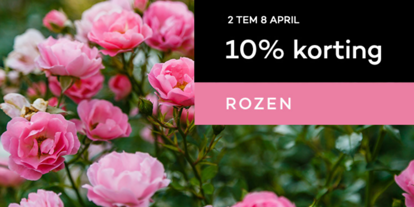 10% korting op rozenplanten
