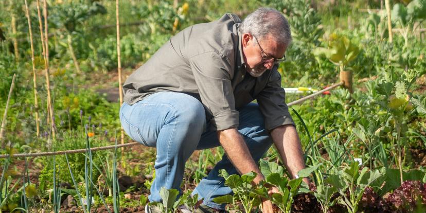 (bouw)verlof = plantverlof!