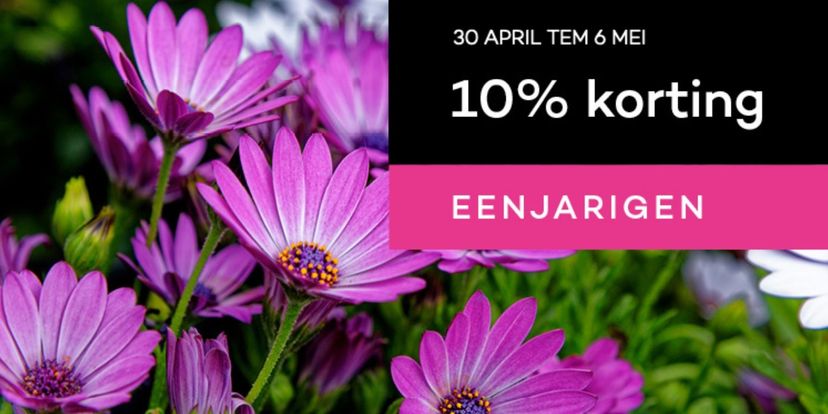 Eenjarige planten: nu 10% korting!