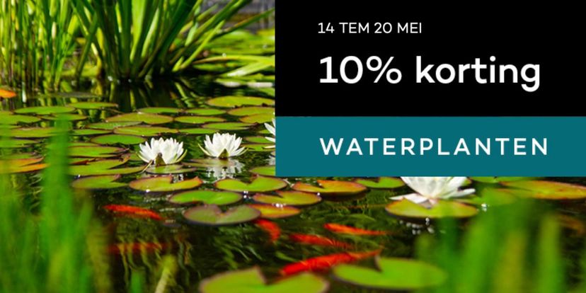 10% korting op moeras- en waterplanten!