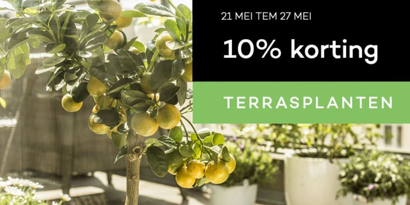 10% korting op jouw terrasplanten