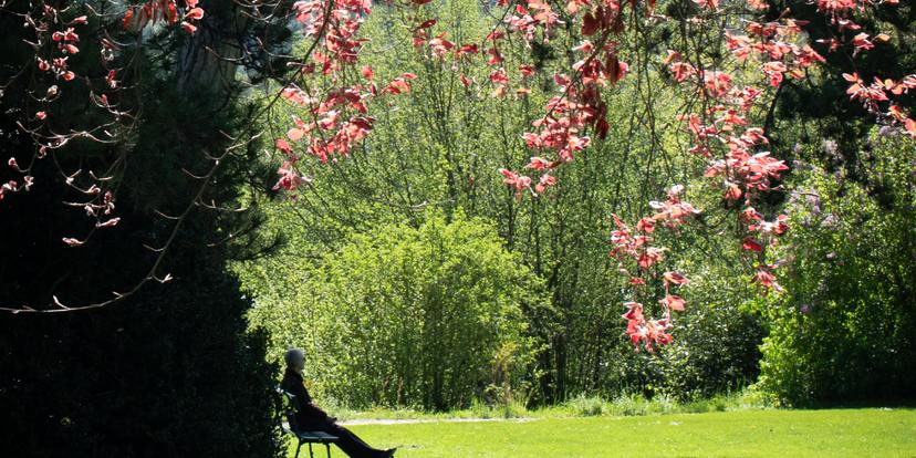 Het is (bijna) zomer!