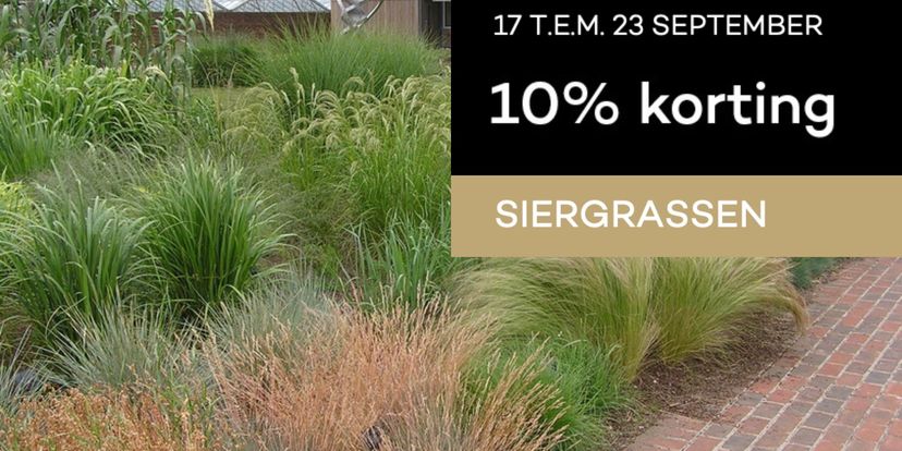 10% korting op alle siergrassen