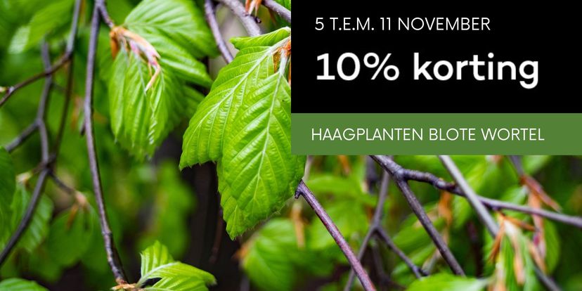 10% korting op haagplanten met blote wortel