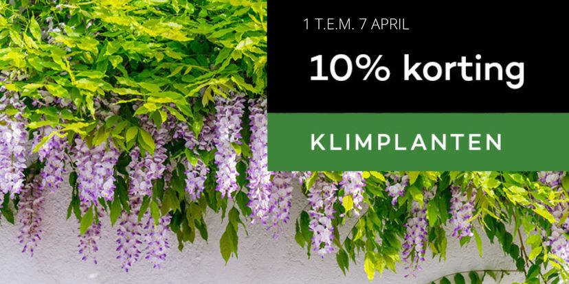 Klimplanten 10% korting!