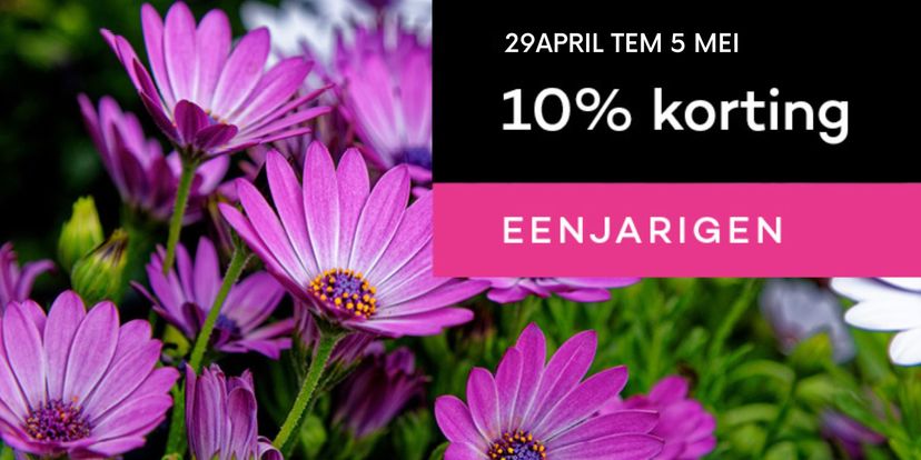 10% korting op eenjarigen!