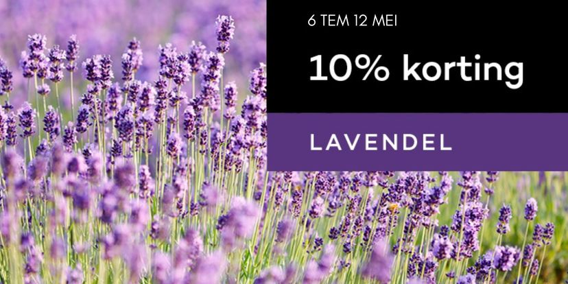 Plant je lavendel met 10% korting