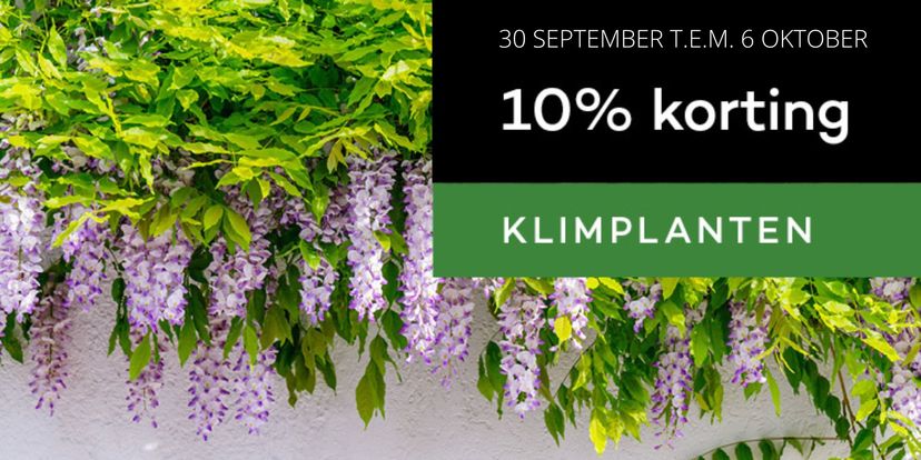 10% korting op klimplanten