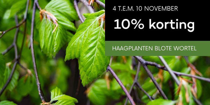 10% korting op je haagplanten met blote wortel