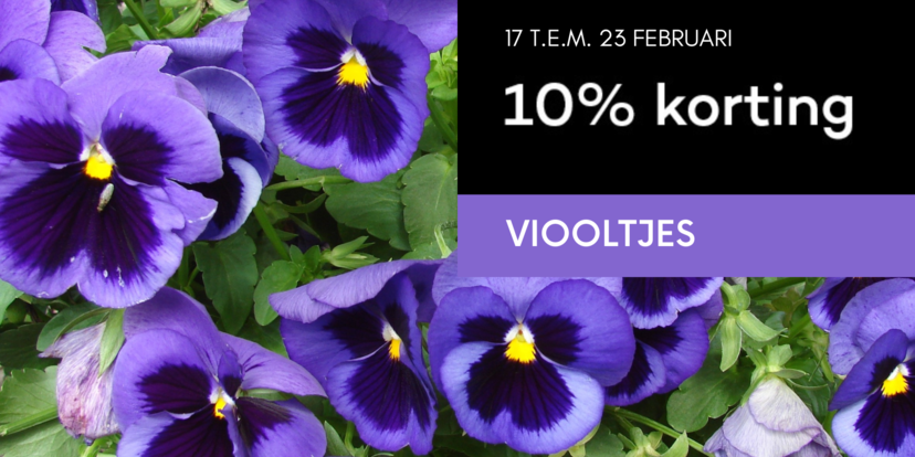 10% korting op viooltjes