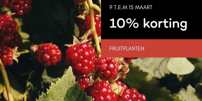 10% korting op fruitplanten