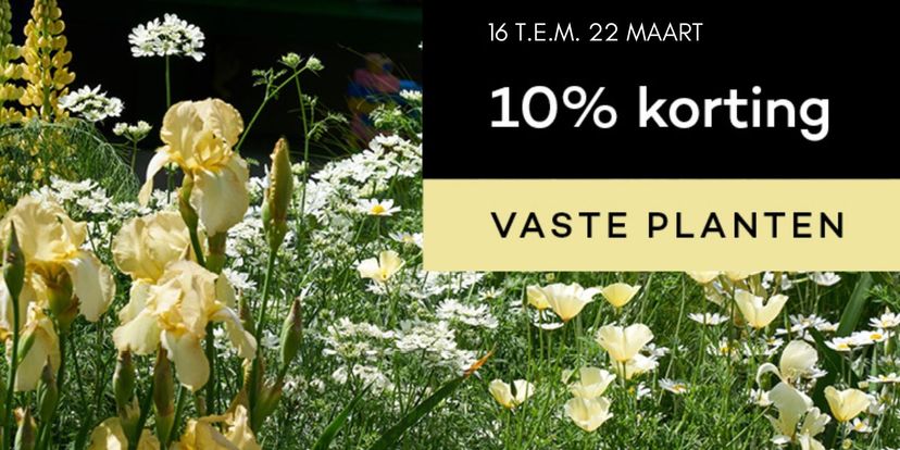 10% korting op vaste planten! 