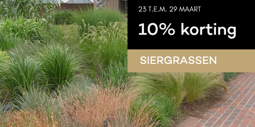 Siergrassen met 10% korting! 