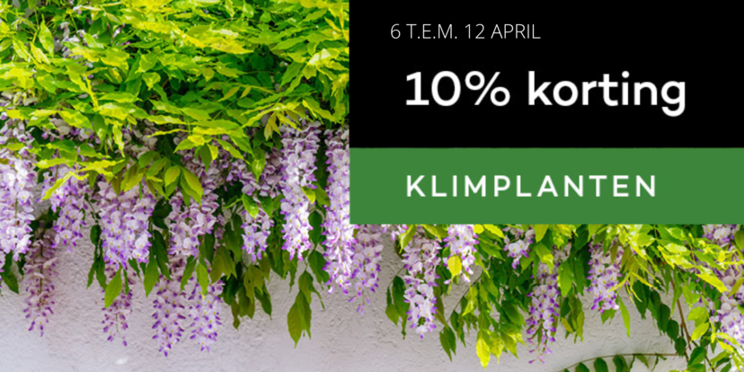 10% korting op de klimplanten