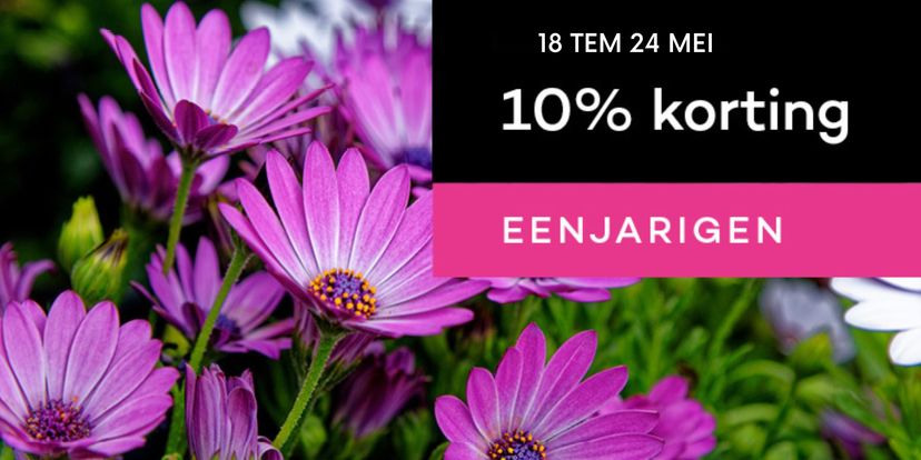 10% korting op eenjarigen!