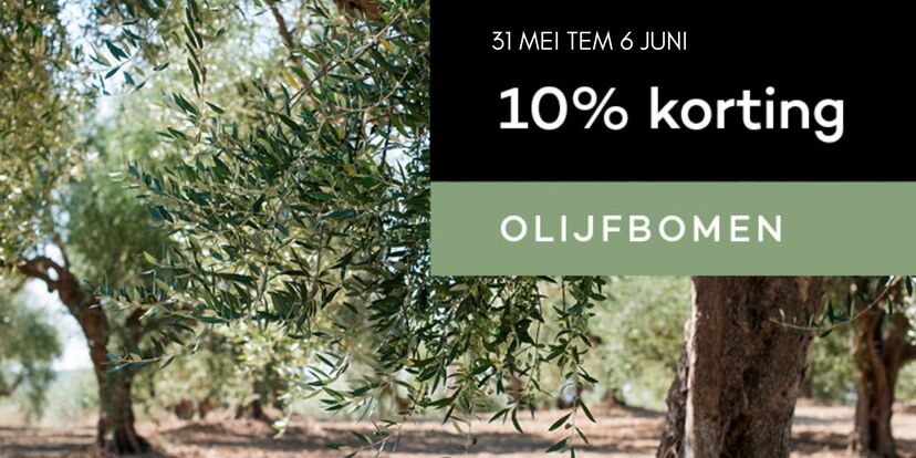 10% korting op olijfbomen