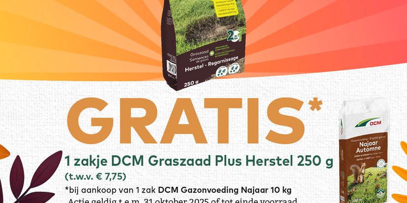 Najaarsactie DCM