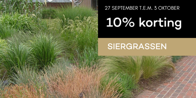 Nu 10% korting op siergrassen!
