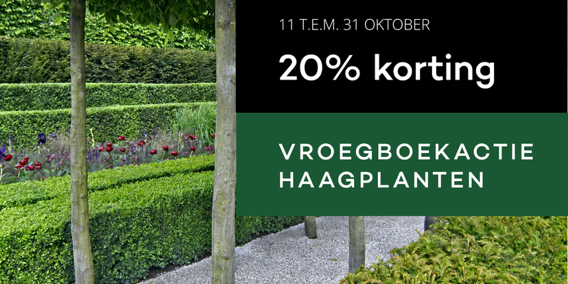 Ontdek onze vroegboekactie haagplanten