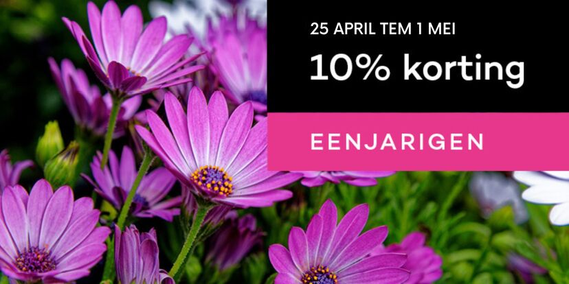 Nu -10% korting op de eenjarigen