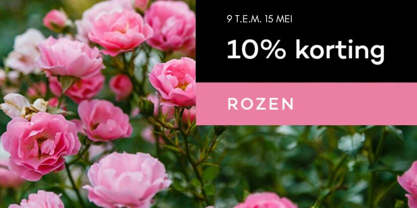 10% korting op rozenplanten