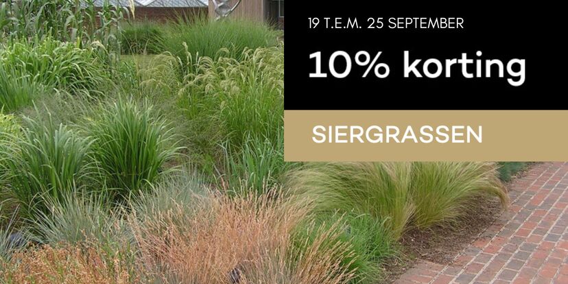 10% korting op siergrassen