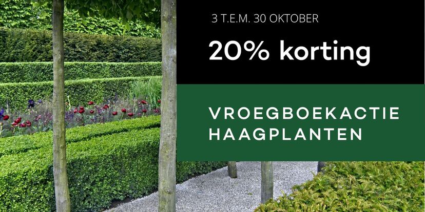 Vroegboekactie haagplanten: we gaan van start!